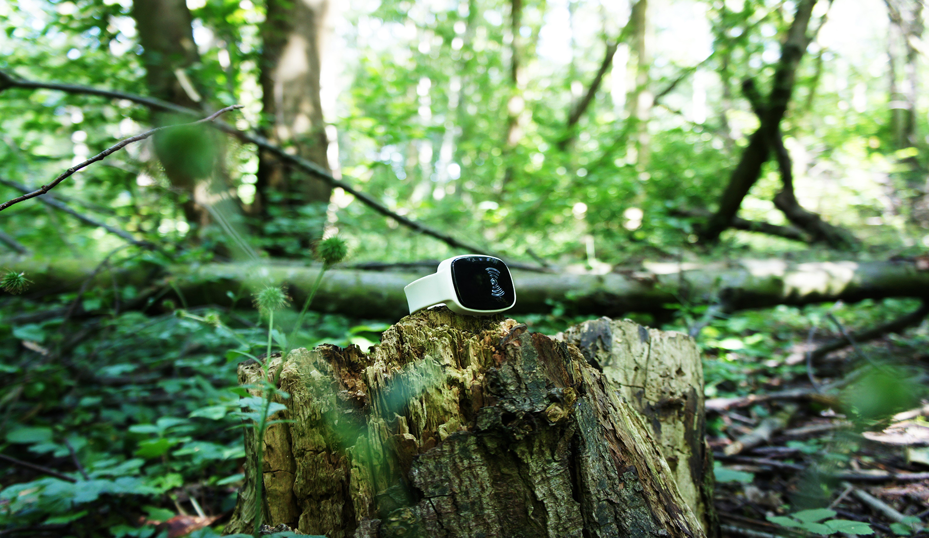 Video of the TM-Alert product in use, showcasing its features and functionality.